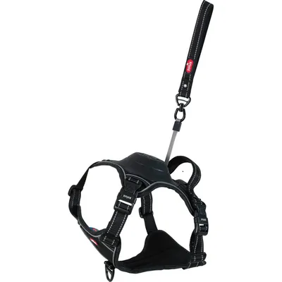 zolux - Harnais et laisse enrouleur intégré M  pour chien max 33 kg