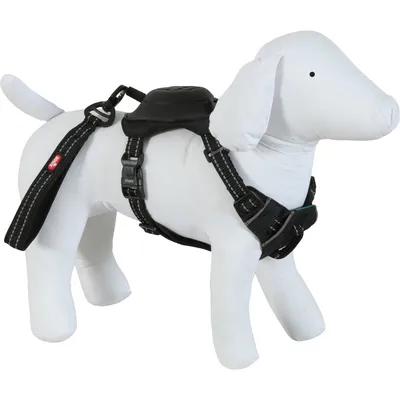 Harnais et laisse enrouleur intégré XS  pour petit chien max 9 kg