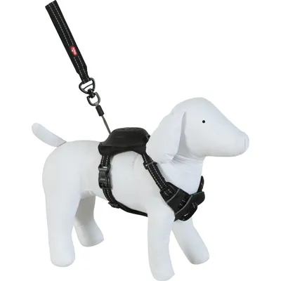 Harnais et laisse enrouleur intégré XS  pour petit chien max 9 kg