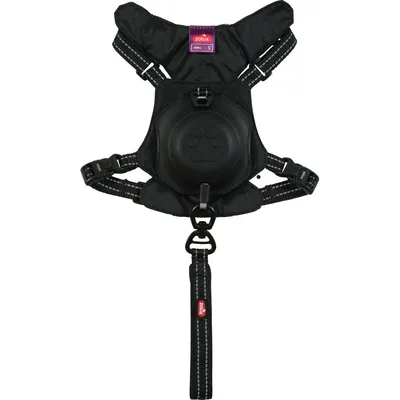 zolux - Harnais et laisse enrouleur intégré S  pour petit chien max 12