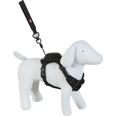 Harnais et laisse enrouleur intégré S  pour petit chien max 12 kg