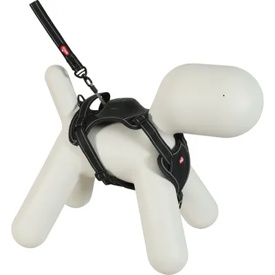 zolux - Harnais et laisse enrouleur intégré L pour chien max 55 kg zolux - Harnais et laisse enrouleur intégré L pour chien max 55 kg