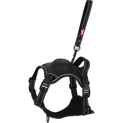 Harnais et laisse enrouleur intégré XL  pour chien max 77 kg
