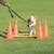 Set d'obstacles pour chien - 4 cône - agility