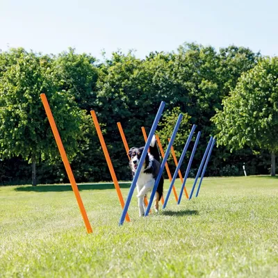 TRIXIE Piquets de slalom pour parcours d'agilité 115 cm 12 pcs Plastique