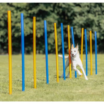TRIXIE Fun Agility Slalom