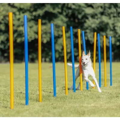 TRIXIE Fun Agility Slalom