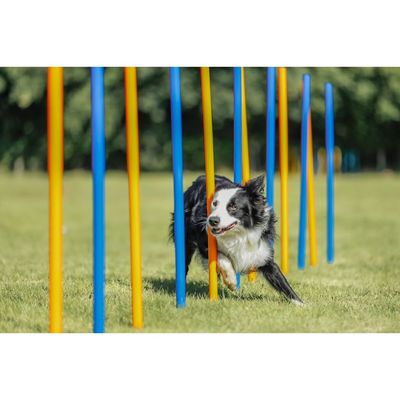 TRIXIE Fun Agility Slalom