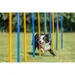 TRIXIE Fun Agility Slalom