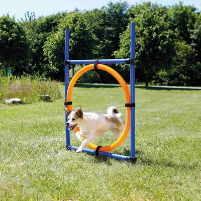 TRIXIE Cerceau d'agilité pour chiens 115 x 3cm plastique TRIXIE Cerceau d'agilité pour chiens 115 x 3cm plastique