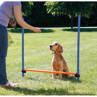 TRIXIE Obstacle de saut 123x115 cm Plastique