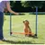 TRIXIE Obstacle de saut 123x115 cm Plastique
