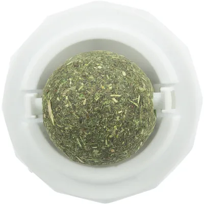 Boule d'herbe à chat avec support