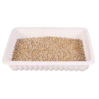 Herbe à chat tendre 100 g en barquette