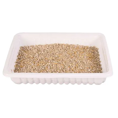 animallparadise - Herbe à chat tendre 100 g en barquette