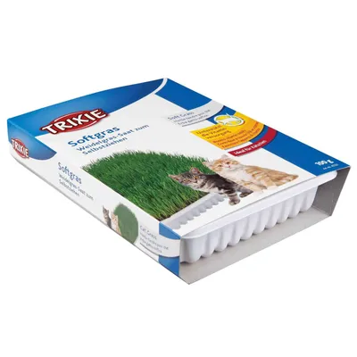 animallparadise - Herbe à chat tendre 100 g en barquette