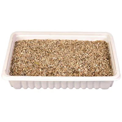 Herbe à chat, barquette de 100g
