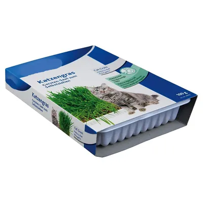 animallparadise - Herbe à chat, barquette de 100g animallparadise - Herbe à chat, barquette de 100g