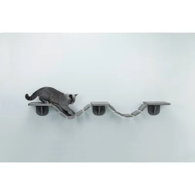 TRIXIE Échelle d'escalade murale pour chats 150x30 cm
