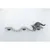 TRIXIE Échelle d'escalade murale pour chats 150x30 cm TRIXIE Échelle d'escalade murale pour chats 150x30 cm