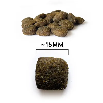 NATYKA Gourmet Adulte volaille