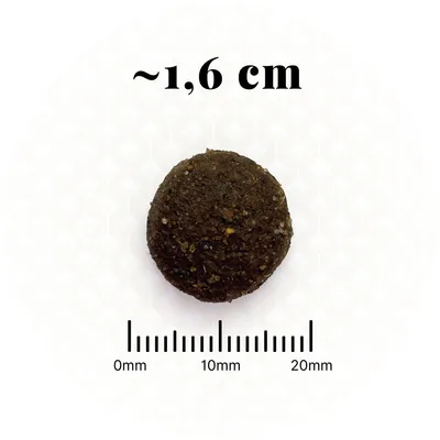 BON APPETIT Chien Adulte Agneau