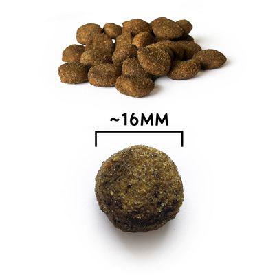 NATYKA Optimal Chien en surpoids