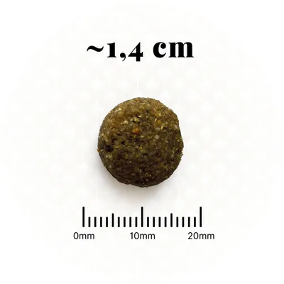 BON APPETIT Chien Senior