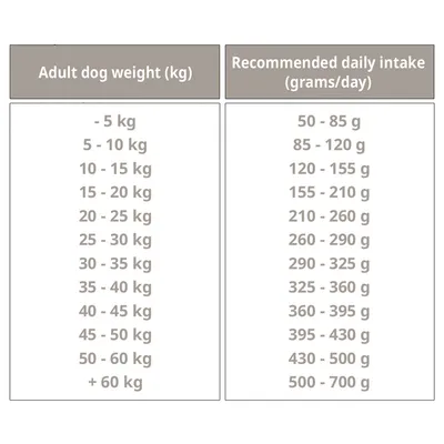 BON APPETIT Chien Senior