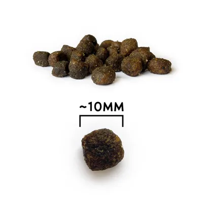 NATYKA Gourmet Chiots volaille