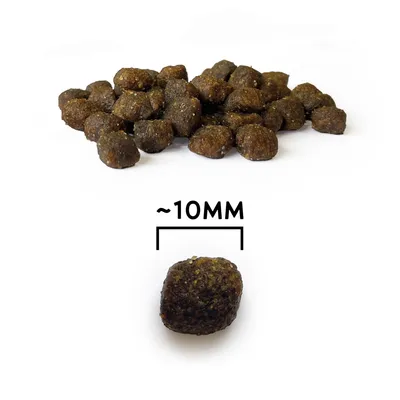 NATYKA Gourmet Petits chiens volaille