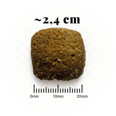 BON APPETIT Chien Adulte Maxi