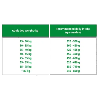 BON APPETIT Chien Adulte Maxi