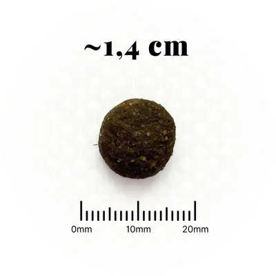 BON APPETIT Chien Adulte Poulet