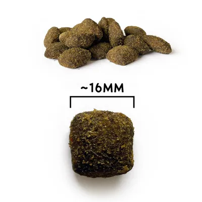 NATYKA Gourmet Adulte agneau & saumon