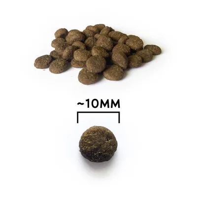 NATYKA Instinct Chat Stérilisé