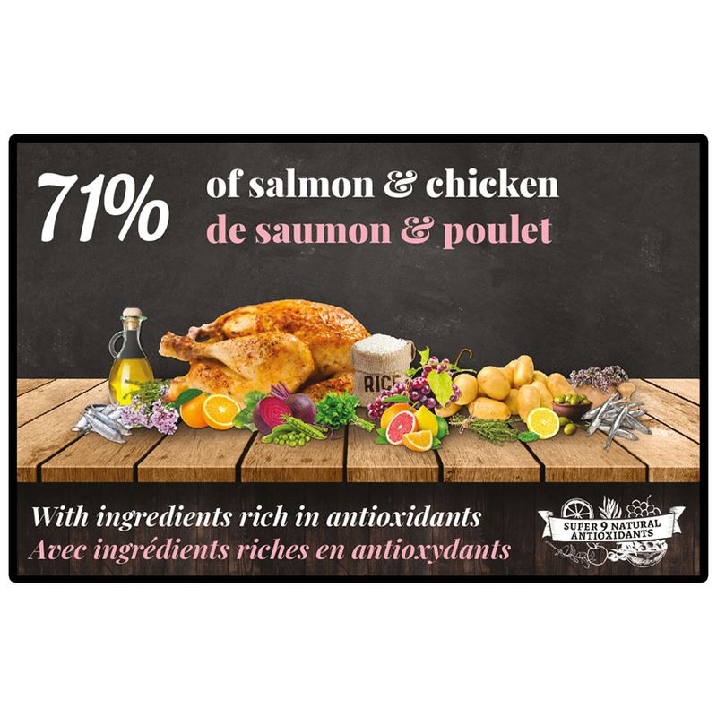 BON APPETIT Chat Adulte Gourmand