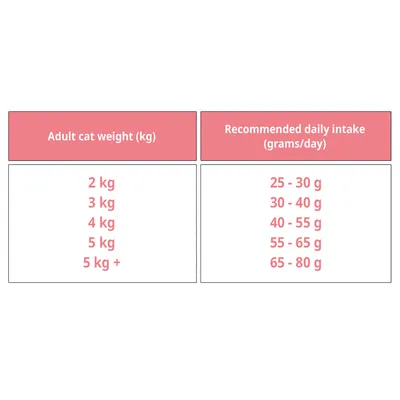 BON APPETIT Chat Adulte Gourmand