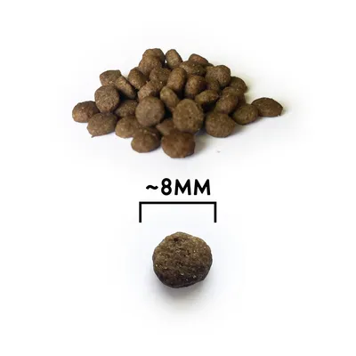 NATYKA Instinct Chaton