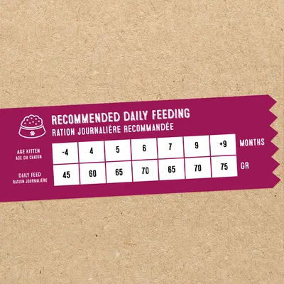 NATYKA Instinct Chaton