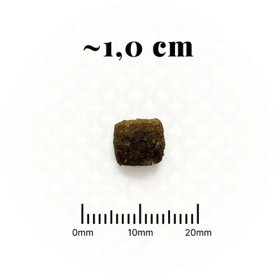 BON APPETIT Chat Adulte Urinary