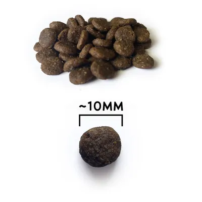 NATYKA Instinct Chat adulte