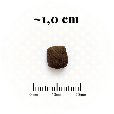 BON APPETIT Adulte Chat Sterilisé