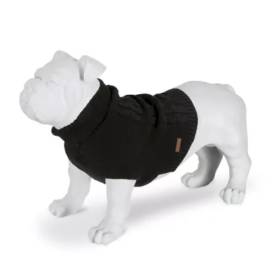 Regatta - Pull pour chiens