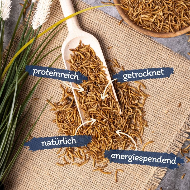 Lyra Pet® vers de farine séchés