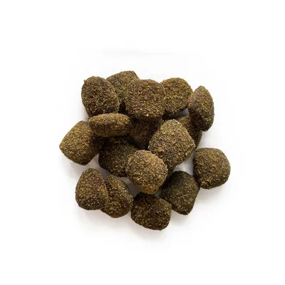 BON APPETIT Tendres plaisirs gourmands agneau