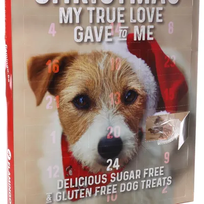 Flamingo - Calendrier de l'avent Noël pour chien 295 g
