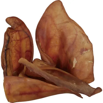 Friandises 50 Oreilles de porc pour chien