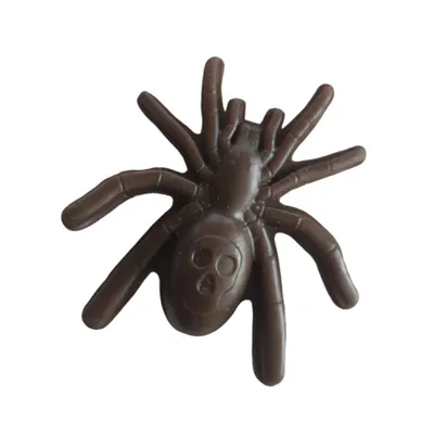 Trixie - Friandise Araignée Halloween ø 8 cm 20 g vendu a l'unité