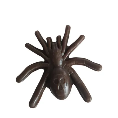 Trixie - Friandise Araignée Halloween ø 8 cm 20 g vendu a l'unité Trixie - Friandise Araignée Halloween ø 8 cm 20 g vendu a l'unité